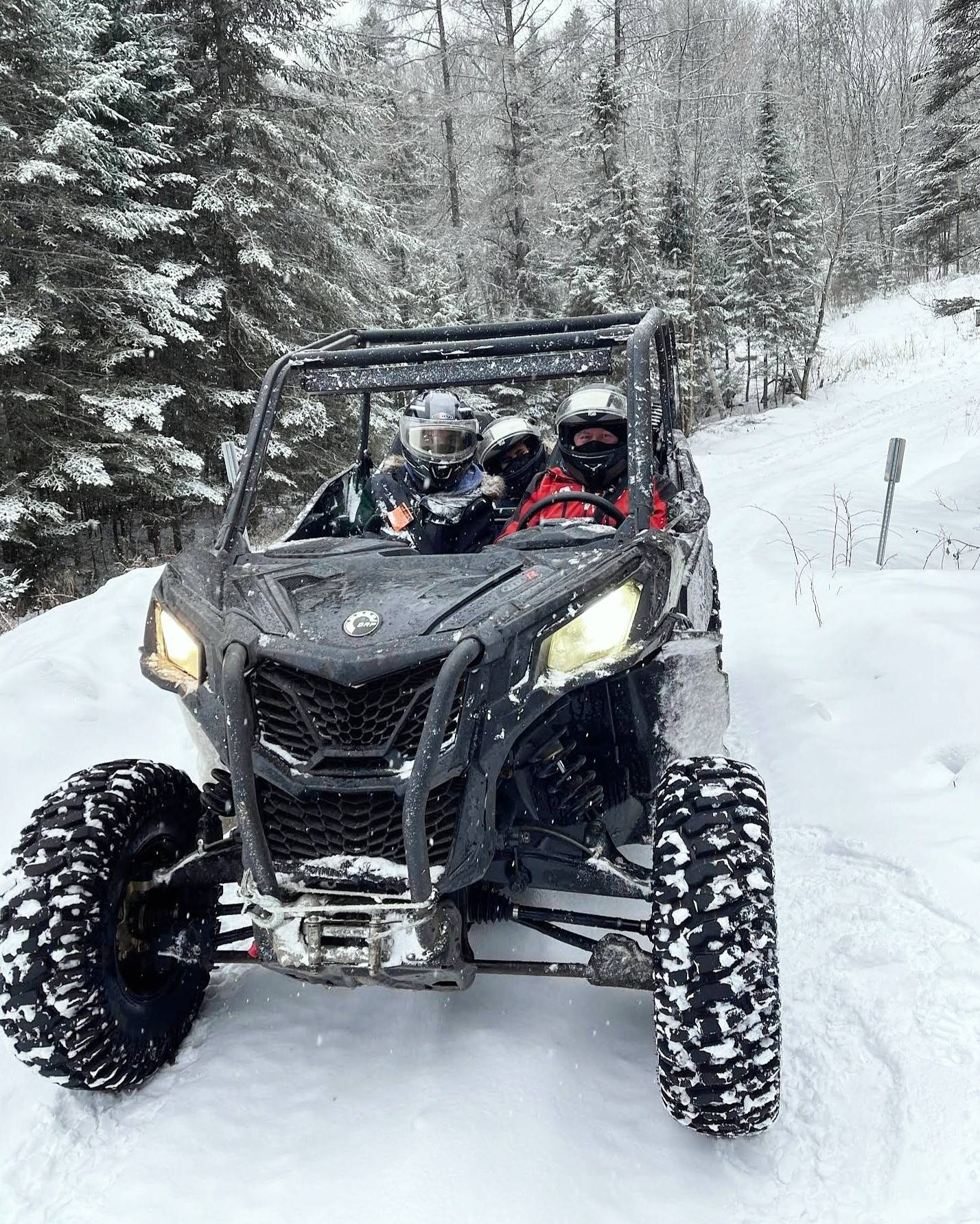 Buggy hivernal en action au Canada