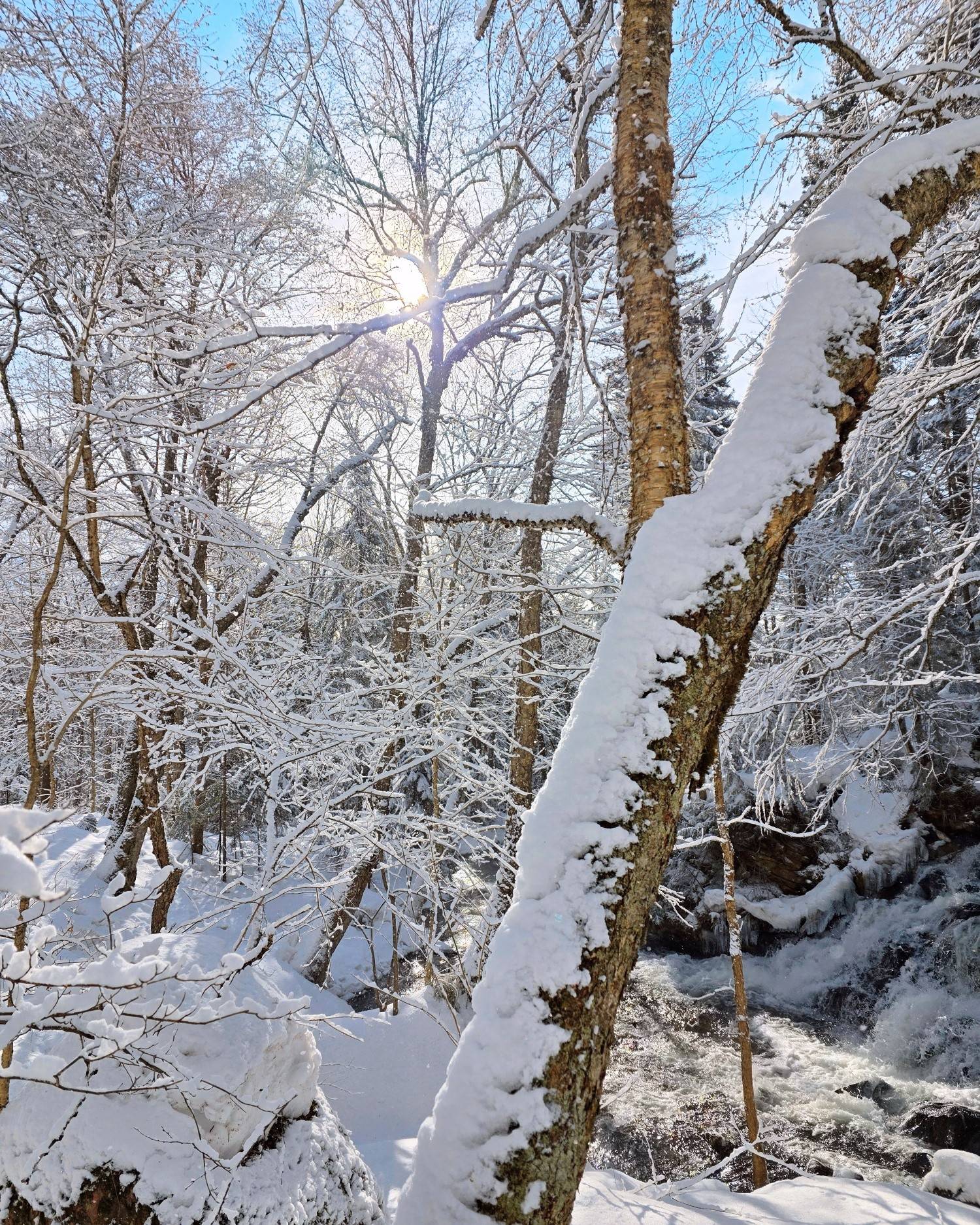 Cascade gelée en forêt hivernale québécoise
