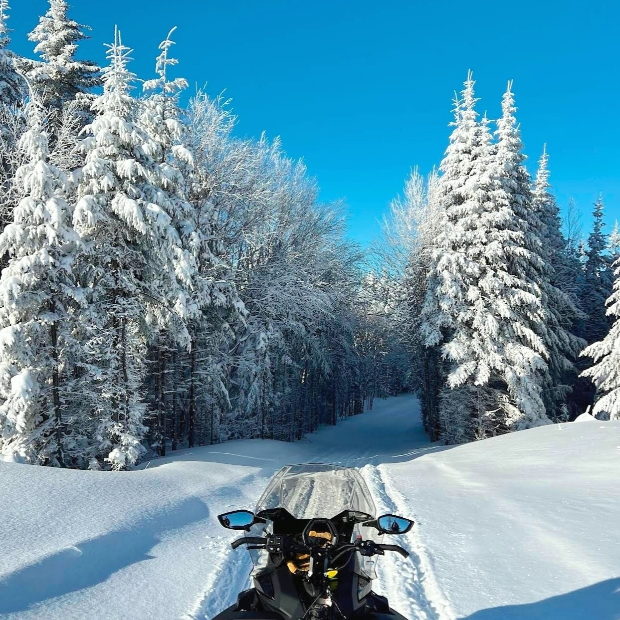 Motoneige Ski-Doo en forêt boréale canadienne — raid Canada Mix Parfait LQCaventures