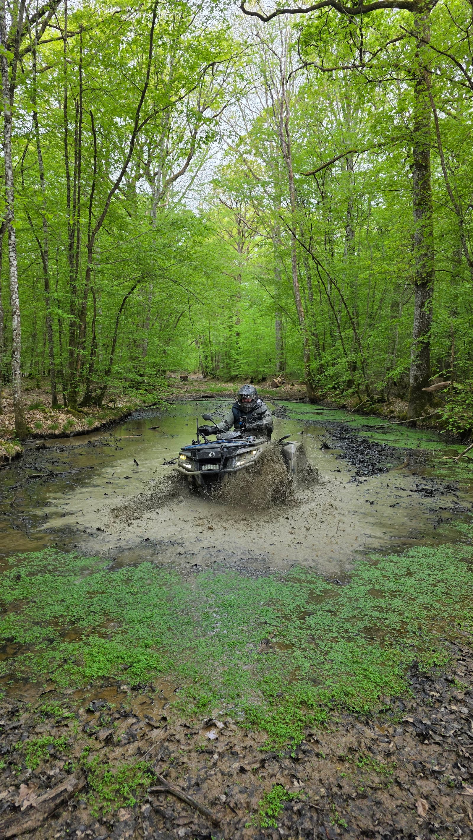 Quad ride in a French forest for owners with LQCaventures